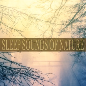 Sleep Sounds of Nature - Single