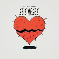 seis meses - Single - Calejandro
