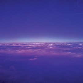 Without You (feat. Liam Tree) amies