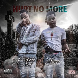 Hurt No More (feat. Kayo) ZuNchi Sed