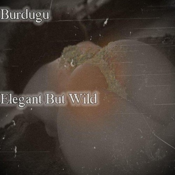 Elegant but Wild