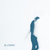 Bluebird artwork