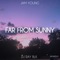 Far from Sunny (feat. DJ Ray BLK) - Jam Young lyrics