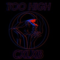 Too High (feat. F*****y Luyse) - Single - Cxlxb