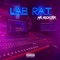 Labrat - Mr. Rockstar lyrics