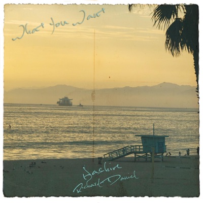 What You Want (feat. Richard Daniel) - Single