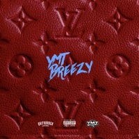 Lv - Single - YMT Breezy