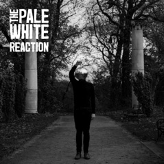 Reaction - Single