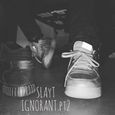 Ignorant, Pt. 2 - Single