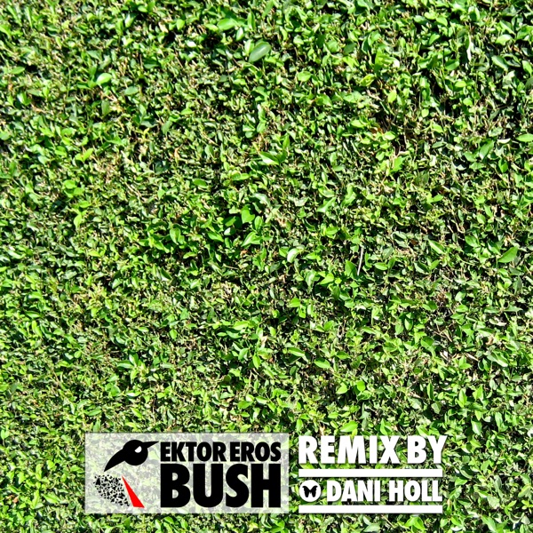 Bush - Single