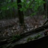 Comforter - Single