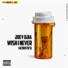 Wish I Never by JOEY DJIA iTunes Track 3