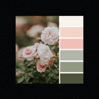 raze // lacuna - Single - Ty Lorenzo