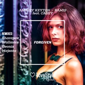 Forgiven (feat. Casey) [Sharapov Remix] artwork