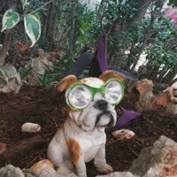 Salsero (feat. J.Fyah, Blond Fakir, Heser & Friza) - Single - Atari Hanzo