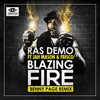 Blazing Fire (Benny Page Remix) [feat. Jah Mason & Frisco] - Single