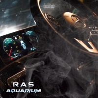 Aquarium - Single - RAS