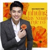 Những Ngày Xuân Rực Rỡ cover art