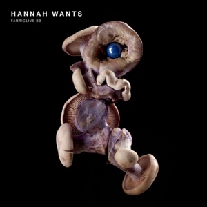 Album cover for FABRICLIVE 89: Hannah Wants