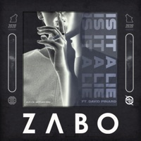 Is It A Lie (feat. David Pinard) - Single - ZABO