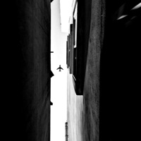 Comfort - Single - Pandrezz