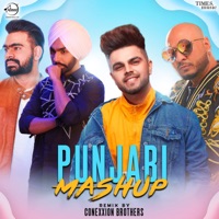 Punjabi Mashup - Single - Ammy Virk, B Praak, Goldy Desi Crew, Prabh Gill & Akhil