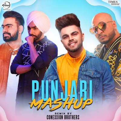 Punjabi Mashup - Single