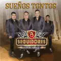Chilena De Seguidores
