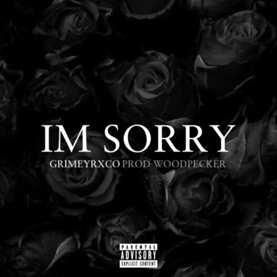 I'm Sorry - Single