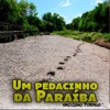 Um Pedacinho da Paraíba - Single