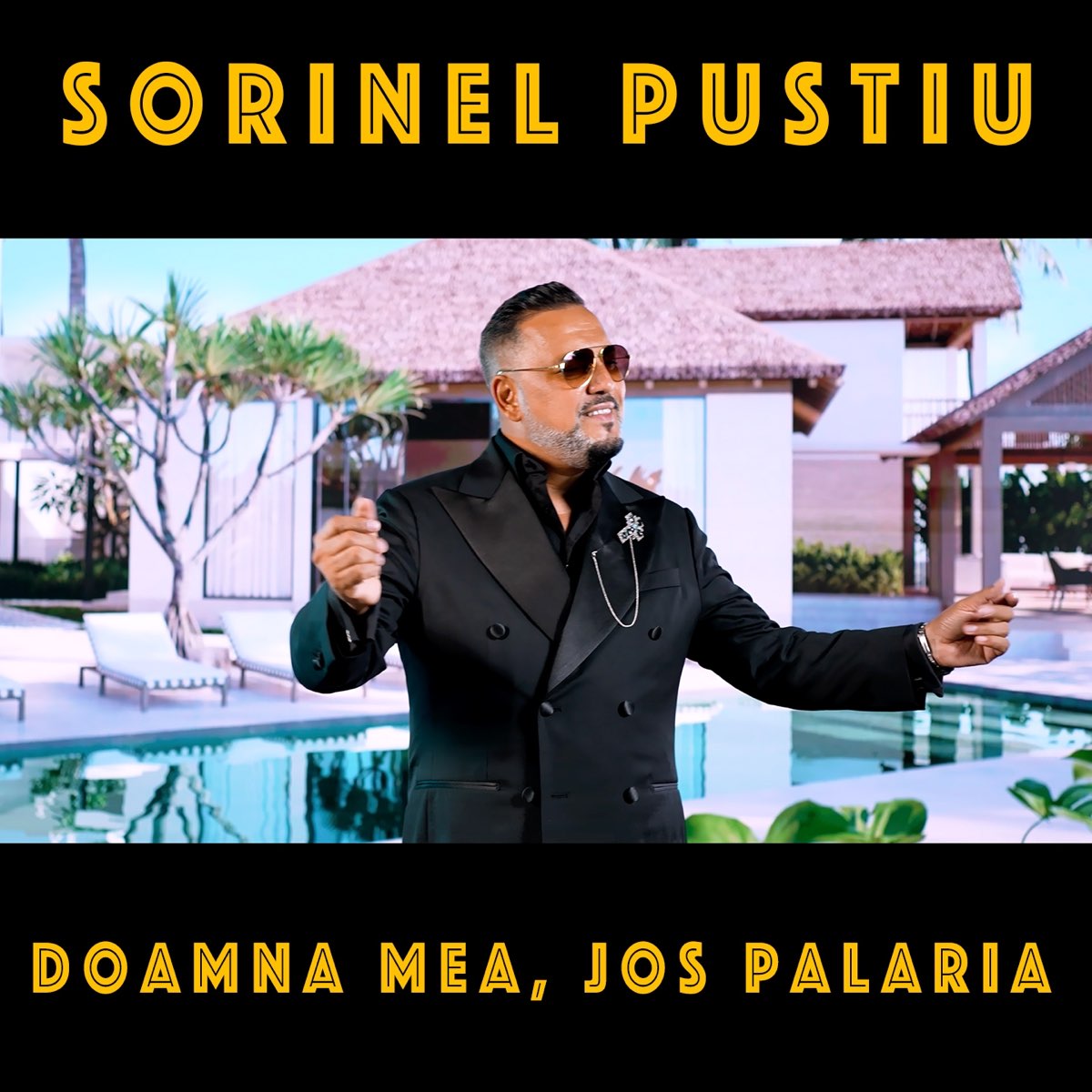 Doamna mea, Jos palaria - Single by Sorinel Pustiu on Apple Music