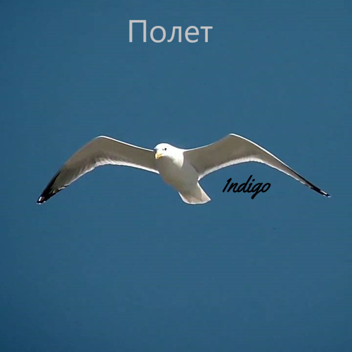 Flight текст. Песня полёт. Полет песня. Летать песня слушать.