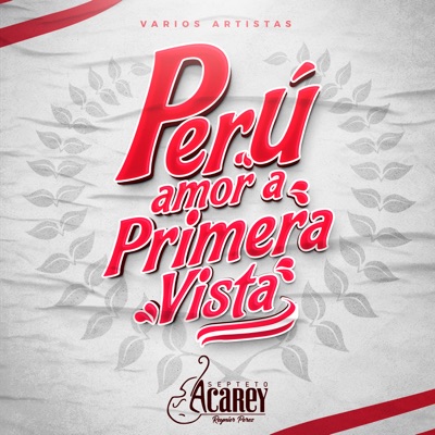 Perú, Amor a Primera Vista (feat. You Salsa, Combinación de la Habana, Kate Candela, Ray Bg, Orquesta Bembe, Aymi Gutiérrez, Cielo Torres, Farik Grippa, Alvaro Rod, Cesar Vega, Son Tentacion, Tony Succar, Tito Manrique & Arturo Miranda) - Single
