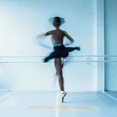 Senorita (feat. Guero) - Single