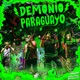 Demonio Paraguayo feat Los Auténticos Decadentes En Vivo Single