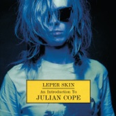 Leper skin - An Introduction To Julian Cope 1986-92 artwork