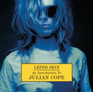 Leper Skin: An Introduction to Julian Cope