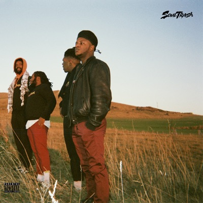 Virale Finale 2.0 (feat. MC Lost) - Single