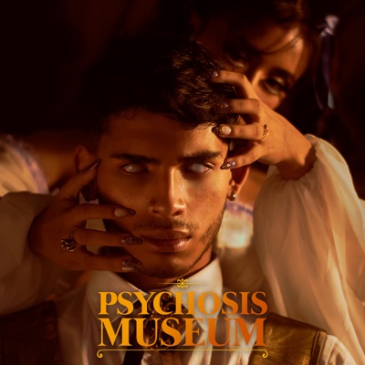 Psychosis Museum - Single