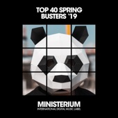 Top 40 Spring Busters '19 artwork