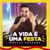 A Vida É Uma Festa artwork