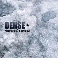The Missed Chance — Dense