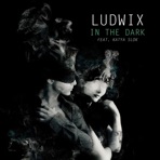 In the Dark (feat. Katya Slok) - Single