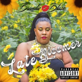 Count It (feat. Oompa & Red Shaydez) Brandie Blaze