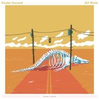 Tonout v tónech - Single - Paulie Garand & DJ Wich