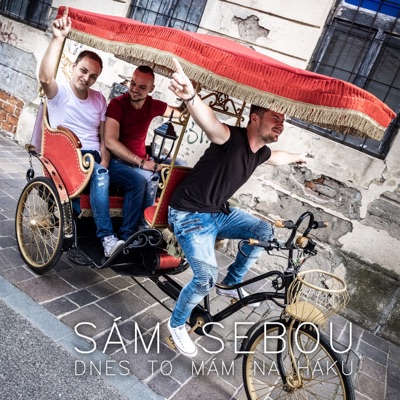 Dnes to mám na háku - Single