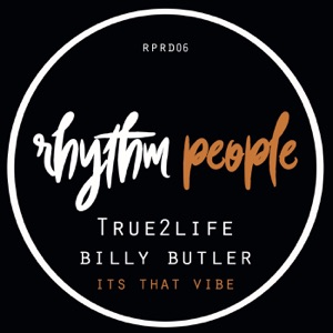 It's That Vibe - Single