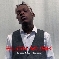 Elon Musk - Single - Leonid Rose