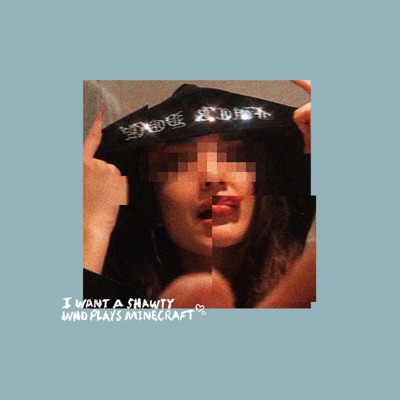 I Want a Shawty Who Plays Minecraft - Single