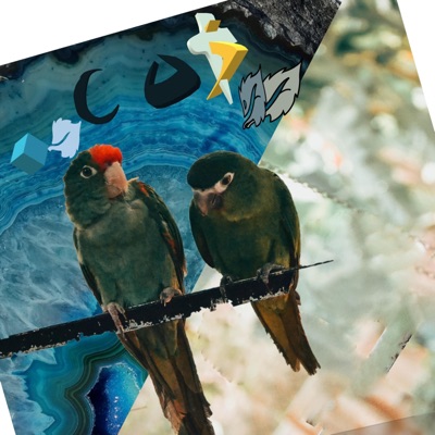 S T O N E Violet! 3 - EP